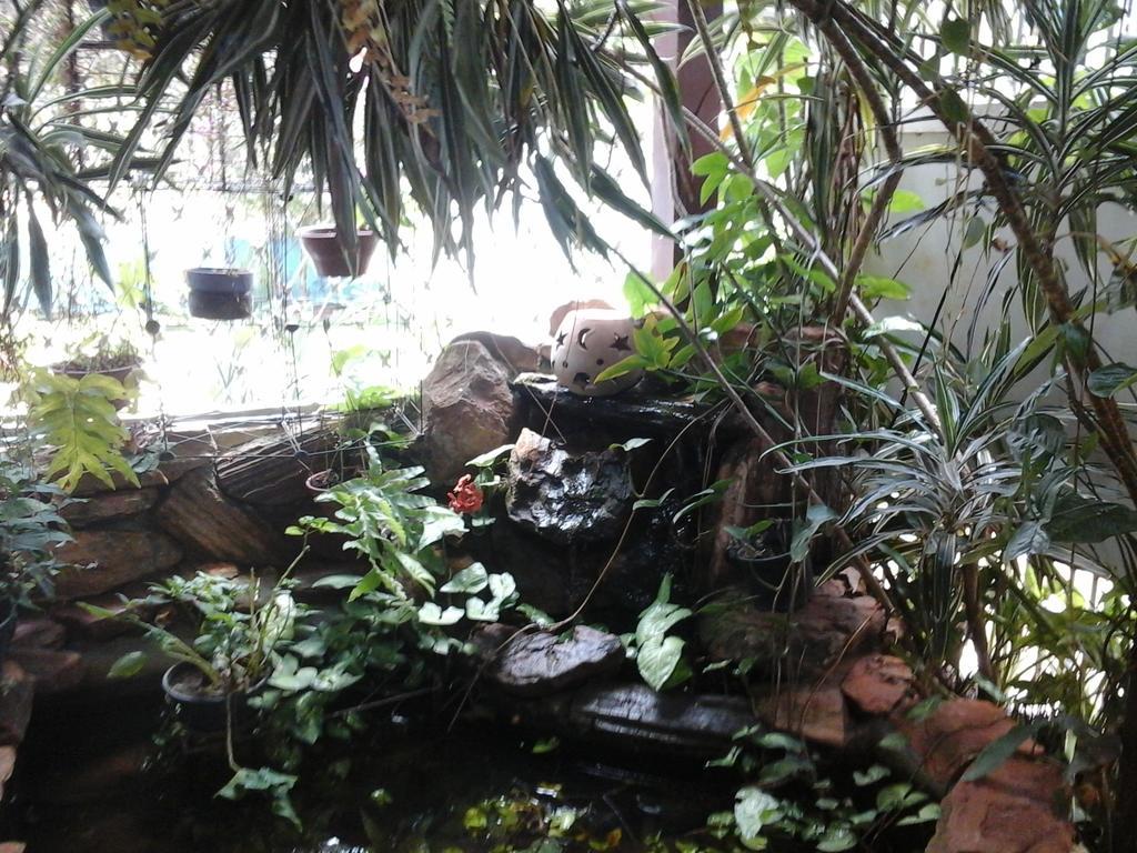 Bed and Breakfast Kzazendf Cama E Cafe Asa Sul Brasilia Exterior foto